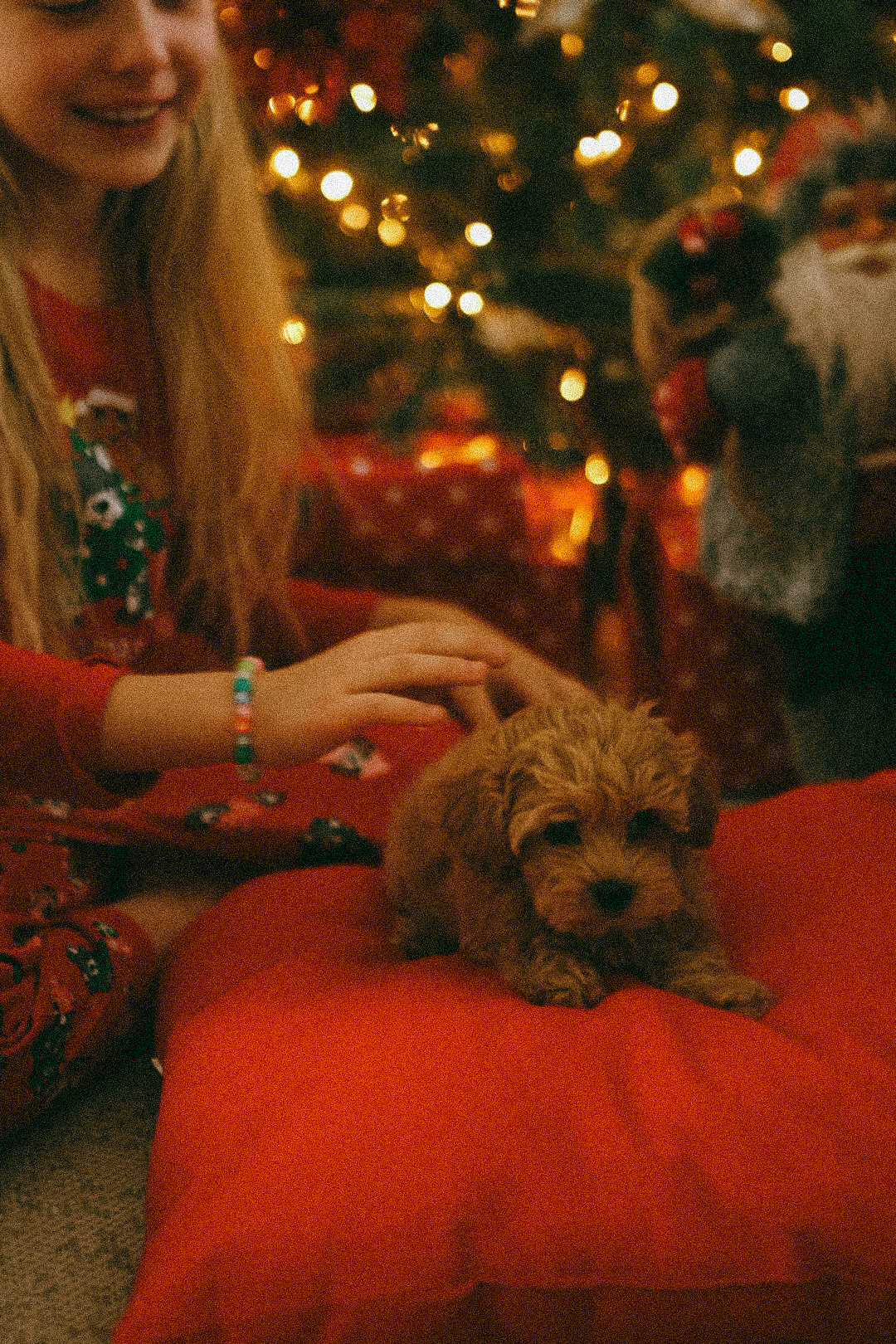Рождественское чудо. Фотограф Нижний Новгород