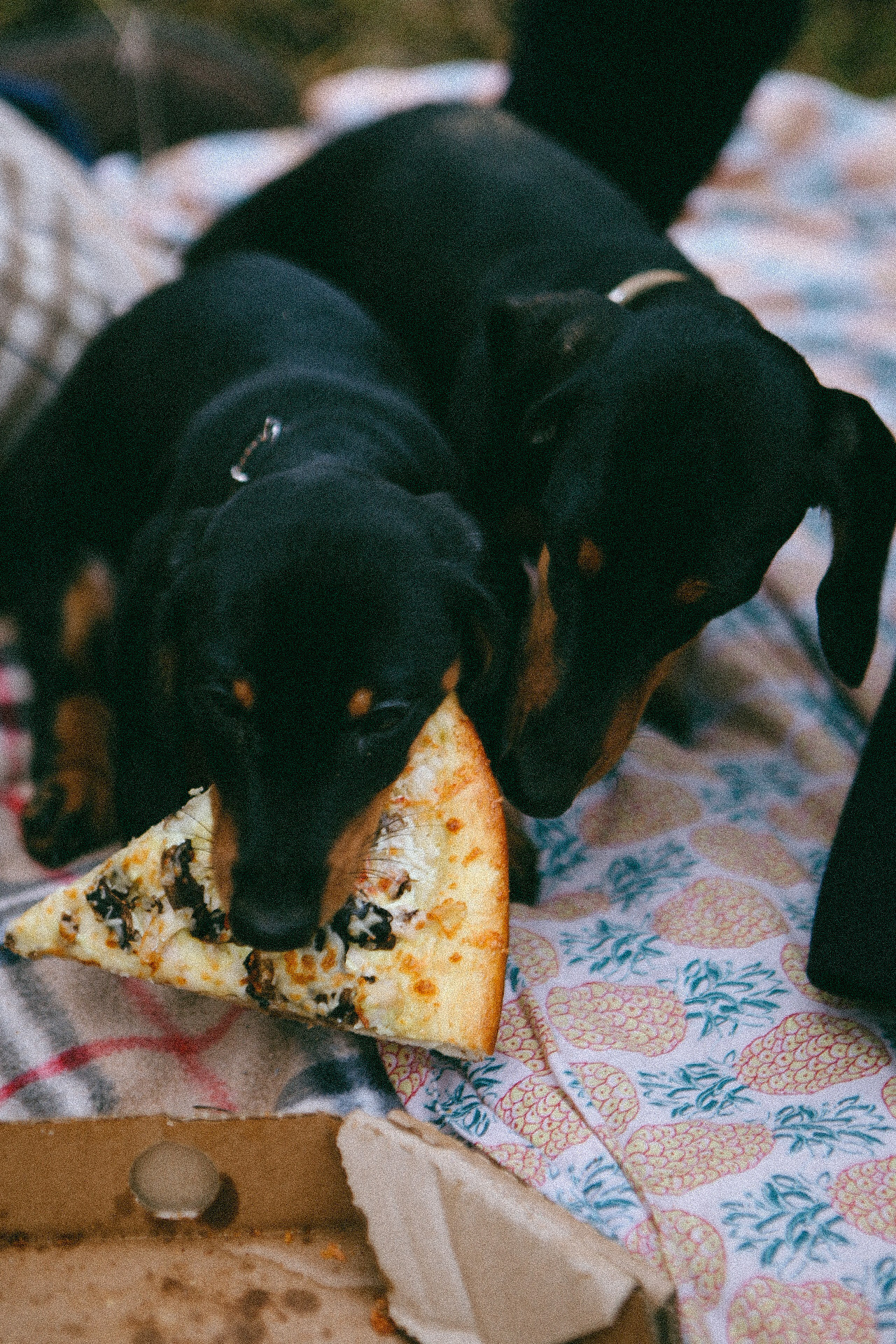 Family story. Фотограф Нижний Новгород