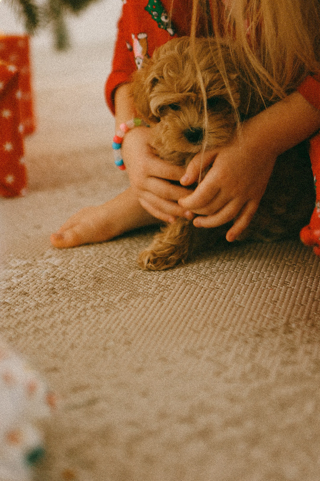 Рождественское чудо. Фотограф Нижний Новгород