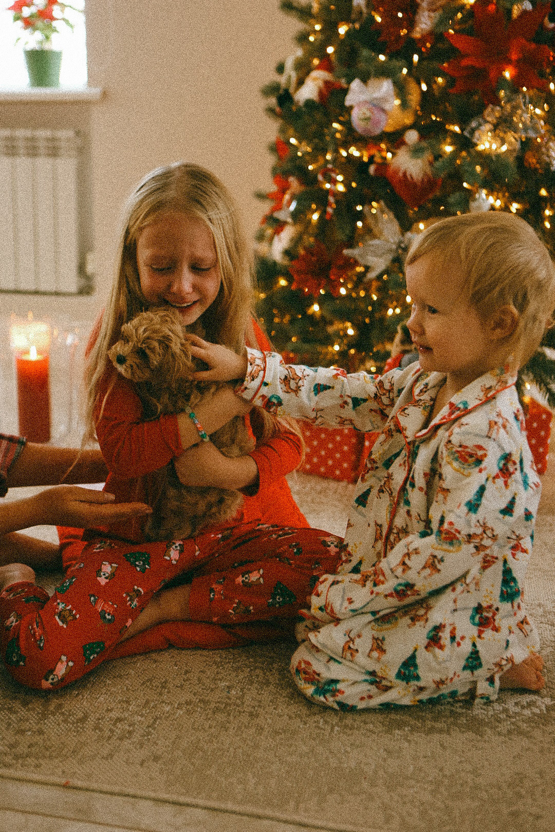 Рождественское чудо. Фотограф Нижний Новгород