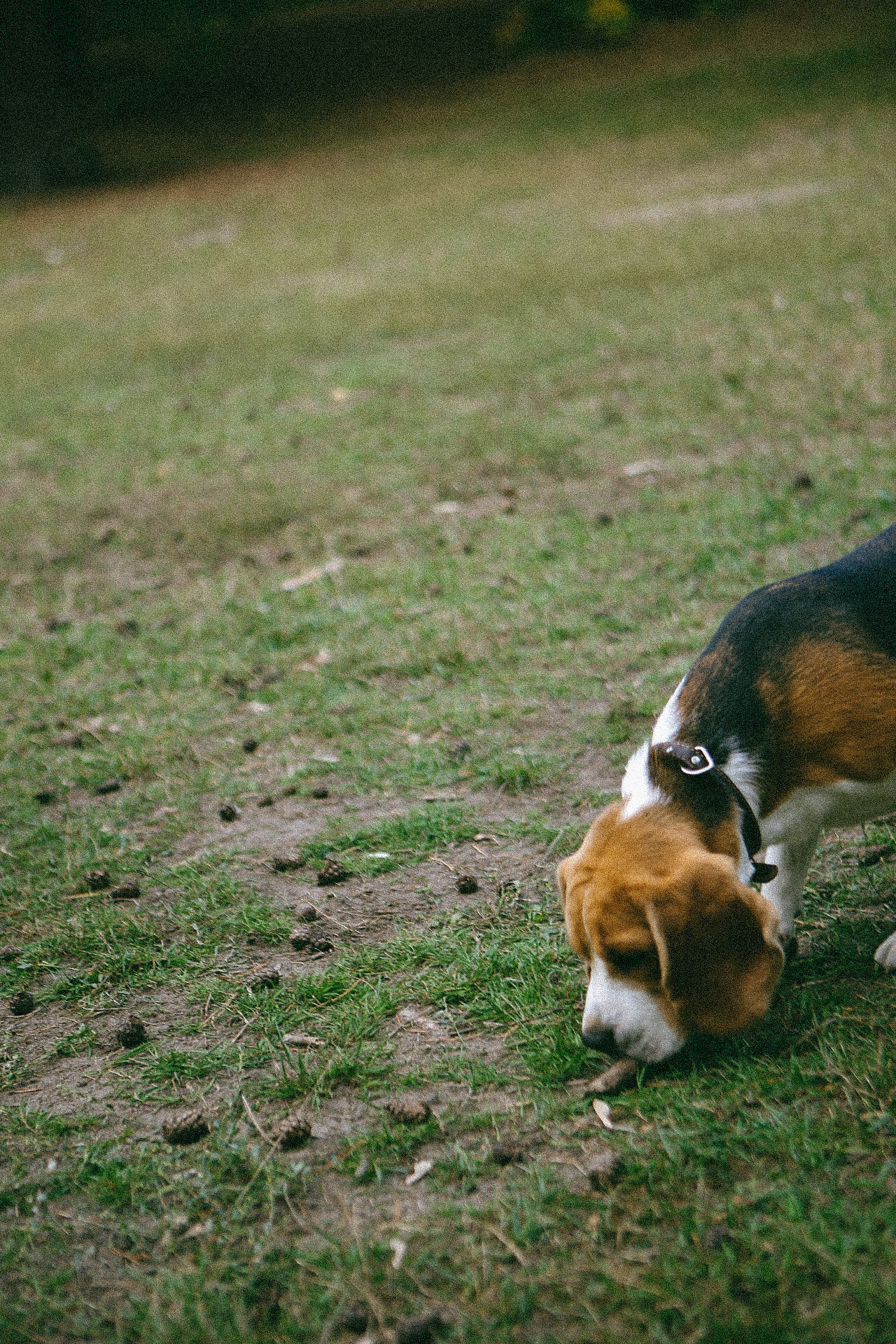 Семейная прогулка. Фотограф Нижний Новгород
