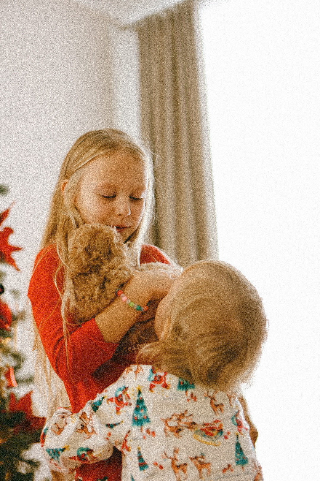 Рождественское чудо. Фотограф Нижний Новгород