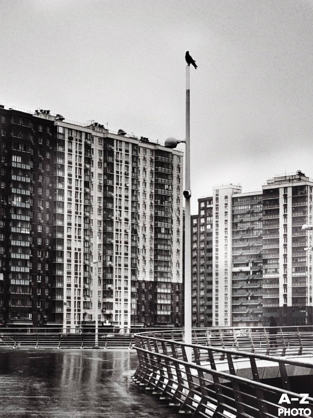 Фото недели AZPHOTO 24.11.2025. Женский семейный фотограф Тула Москва Захарова Анна