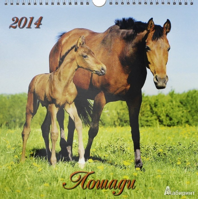 Публикации. Лана Петрова, фотограф