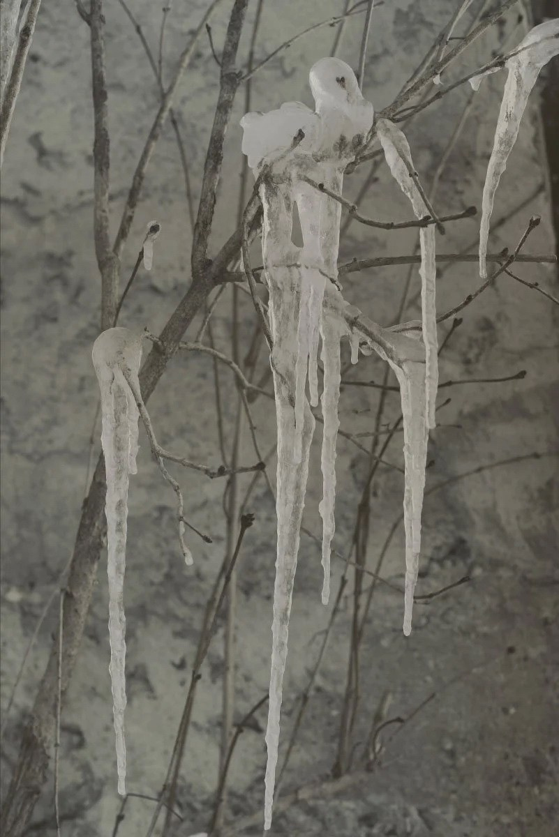 Книга Нины Вивианы Канджалози «The Snow Abides». Private image