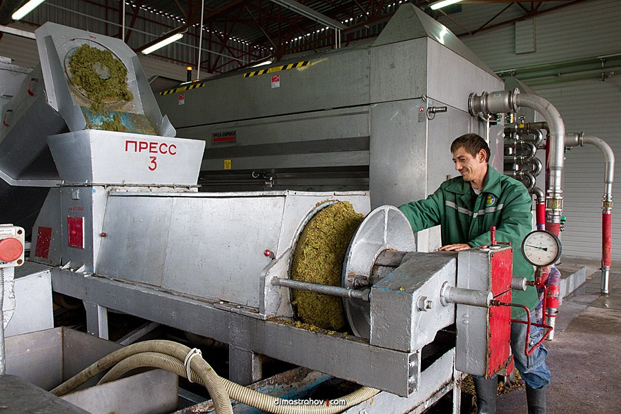 Винзавод Качинский +. Свадебный фотограф, фотосъемка в Крыму, Севастополе, Симферополе, Ялте