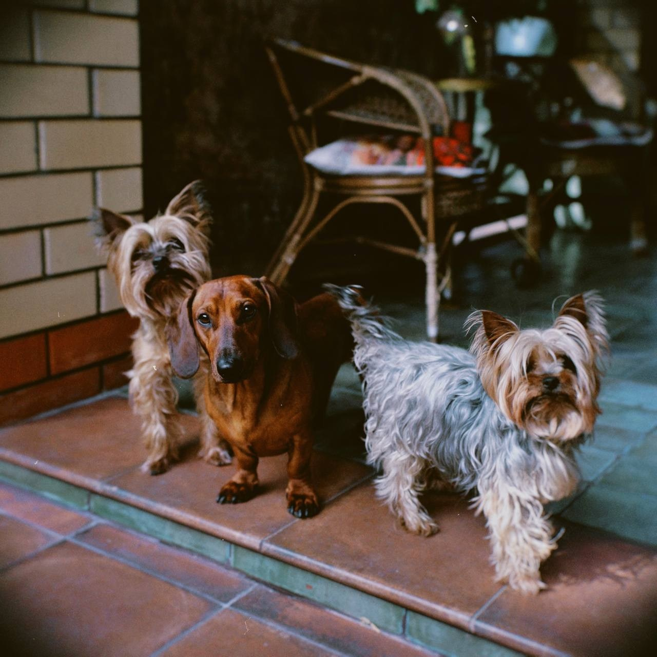 Мир вокруг. Фотограф и психолог Мария Маринова