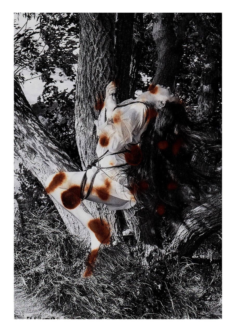 Коллажи. Маська