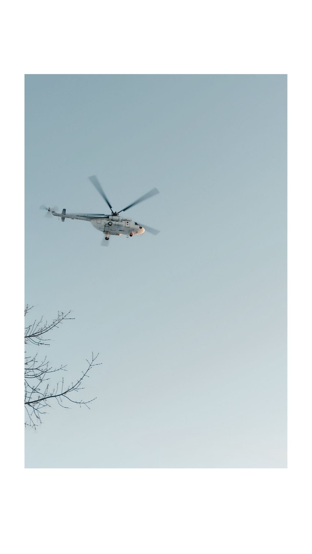 Зима по-сибирски. Главная