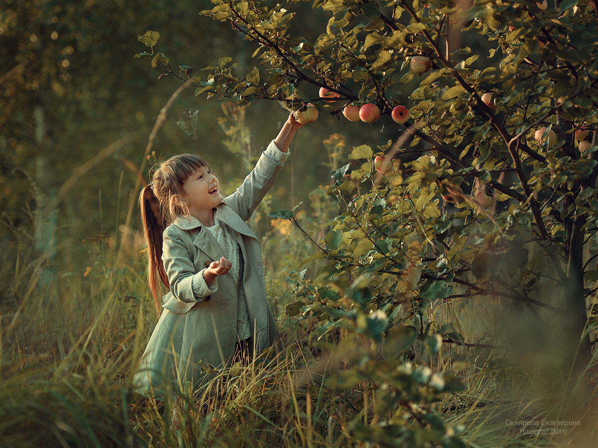 Яблочный спас. Детский и семейный фотограф Склярова Екатерина