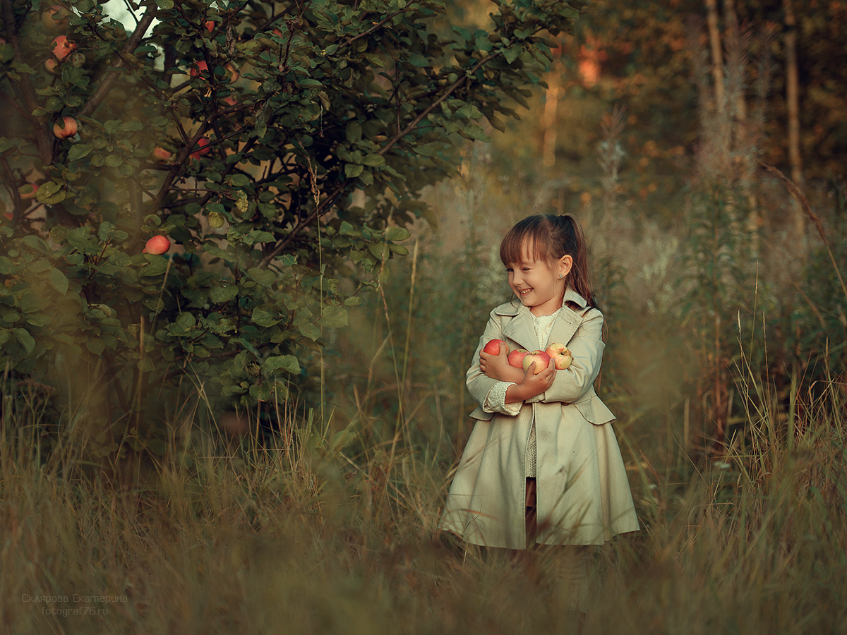 Яблочный спас. Детский и семейный фотограф Склярова Екатерина