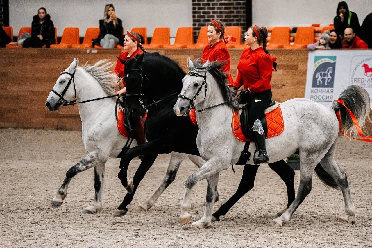 КОННАЯ РОССИЯ 2024. Конный фотограф Куракина Дарья • Фотосессии с лошадьми