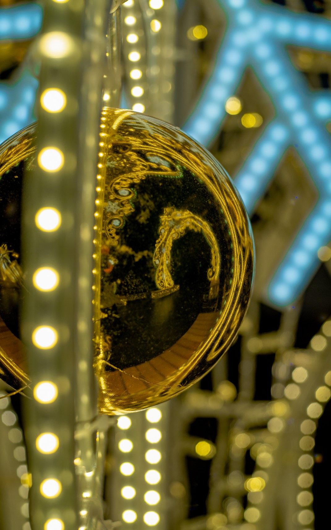 Москва. Ноябрь. 2024. Фотограф в Сочи Елена Лисотина. Фототуры в Сочи