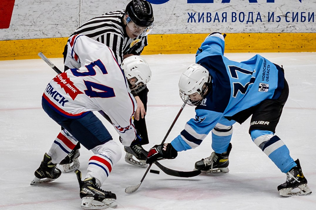 Сибирь (ЮХЛ). Bertran Ordo