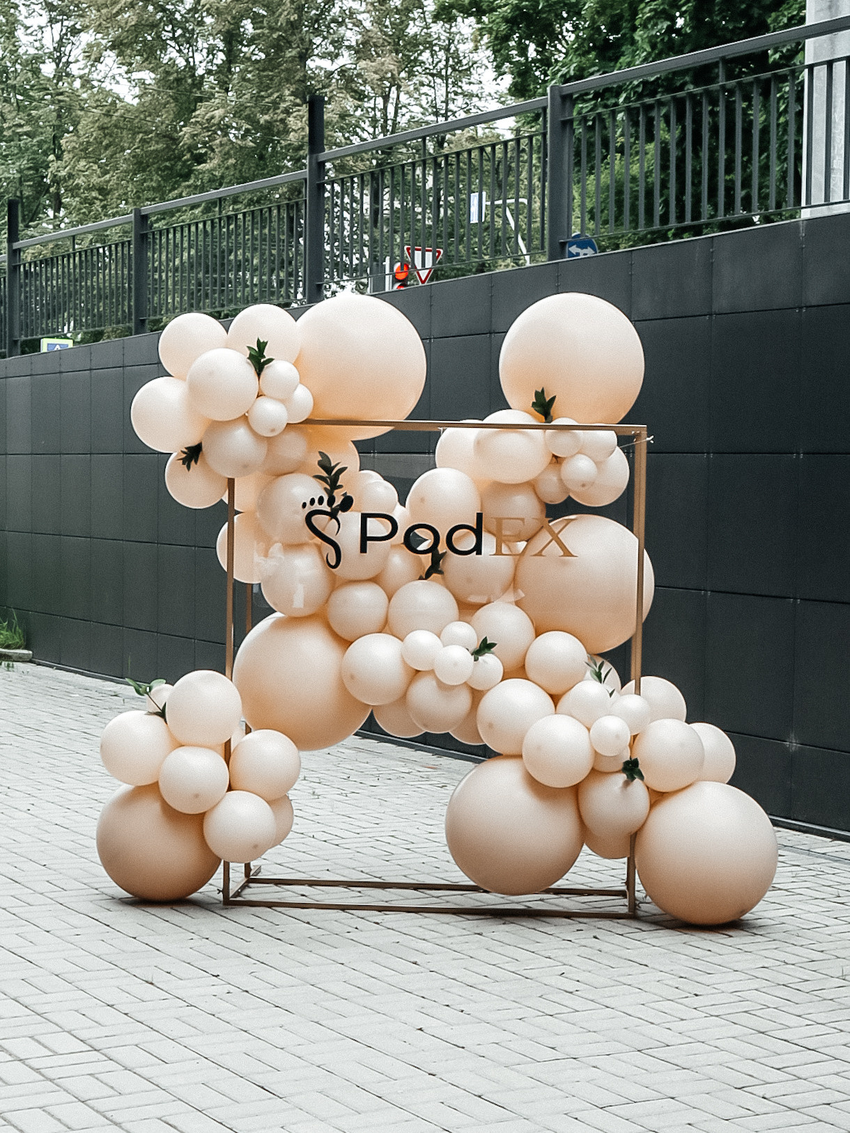 Открытие центра подологии PODEX. Фотограф в Петрозаводске Вероника Манакова