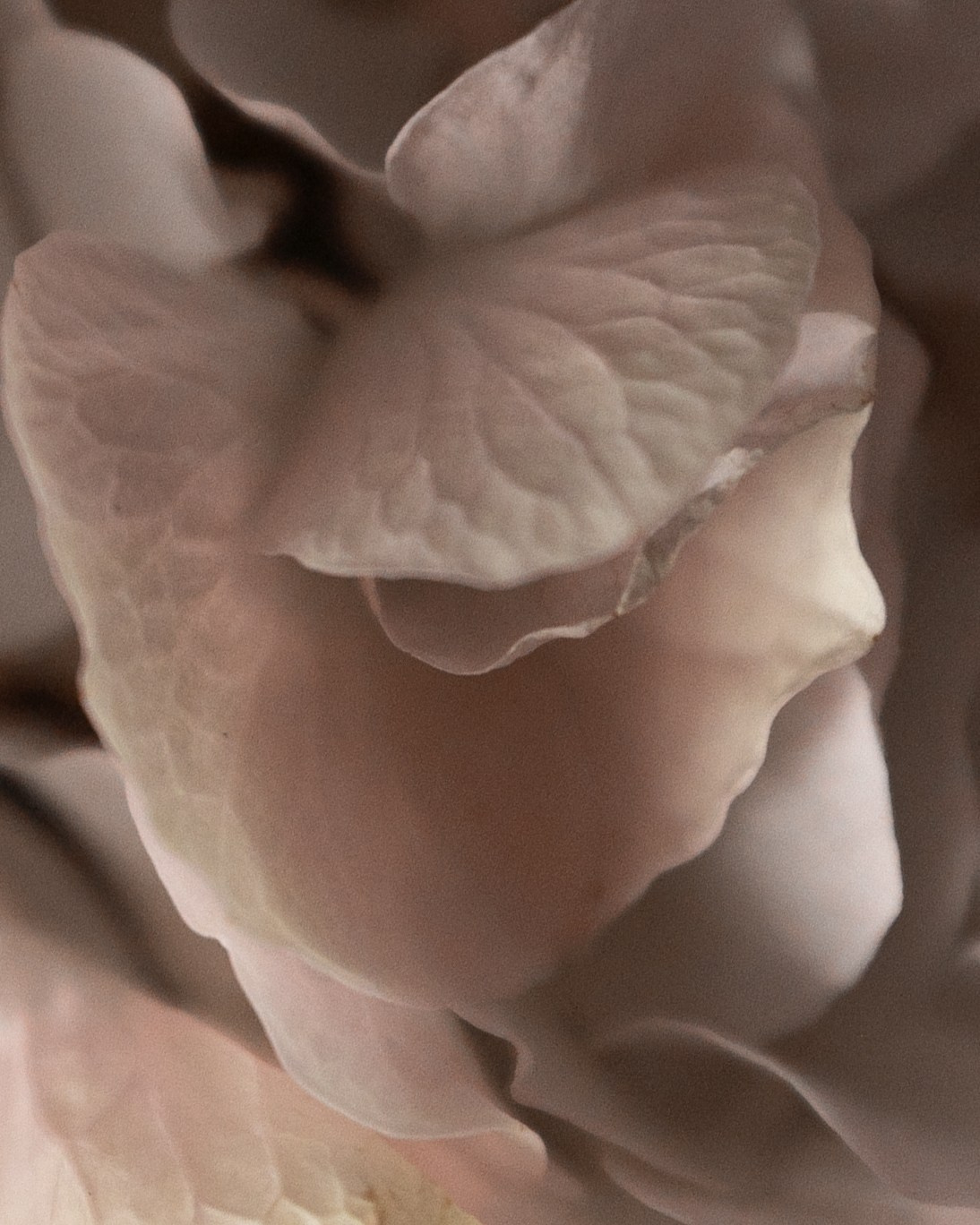 Ольга. Фотограф в Москве Мария Терентьева