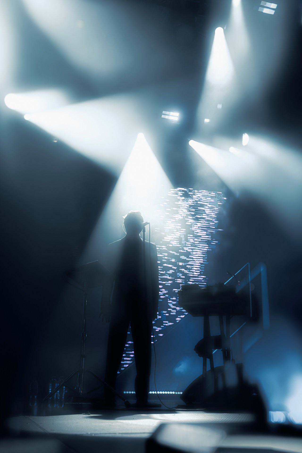 Дельфин, 07.08.25, Summer Sound, Дизайн Завод