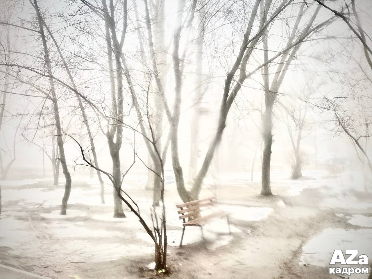 Фотопрогулка для Яны в цветущем саду. Женский семейный фотограф Тула Москва Захарова Анна