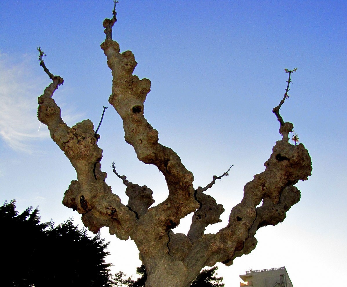 Каталония: Льорет-де-Мар и Барселона. Дарья Письменюк / Darya Leitstern — фотограф, музыкант, журналист, путешественник