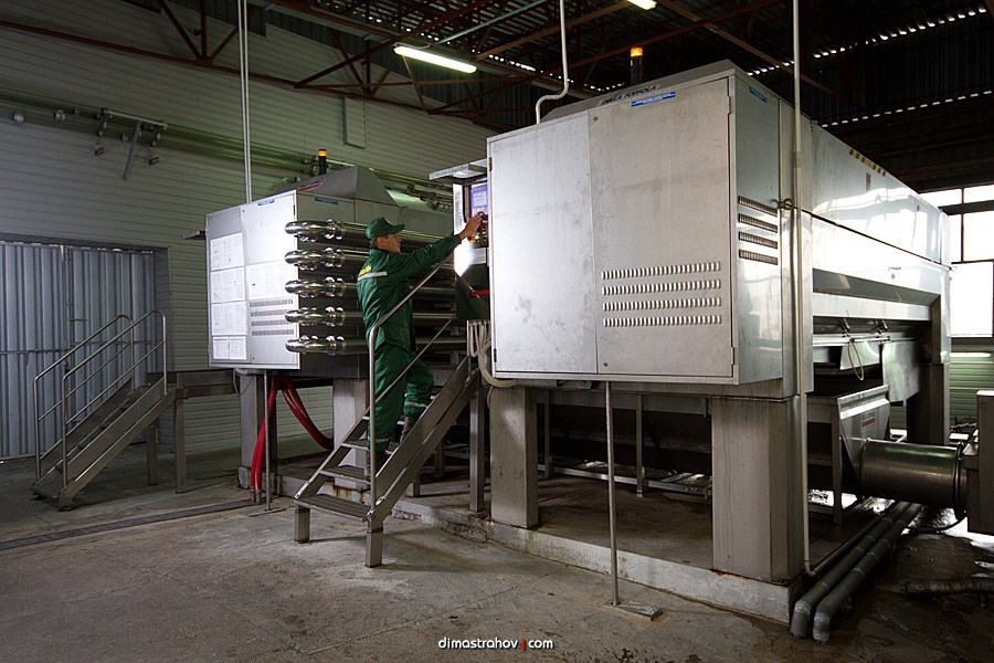 Винзавод Качинский +. Свадебный фотограф, фотосъемка в Крыму, Севастополе, Симферополе, Ялте