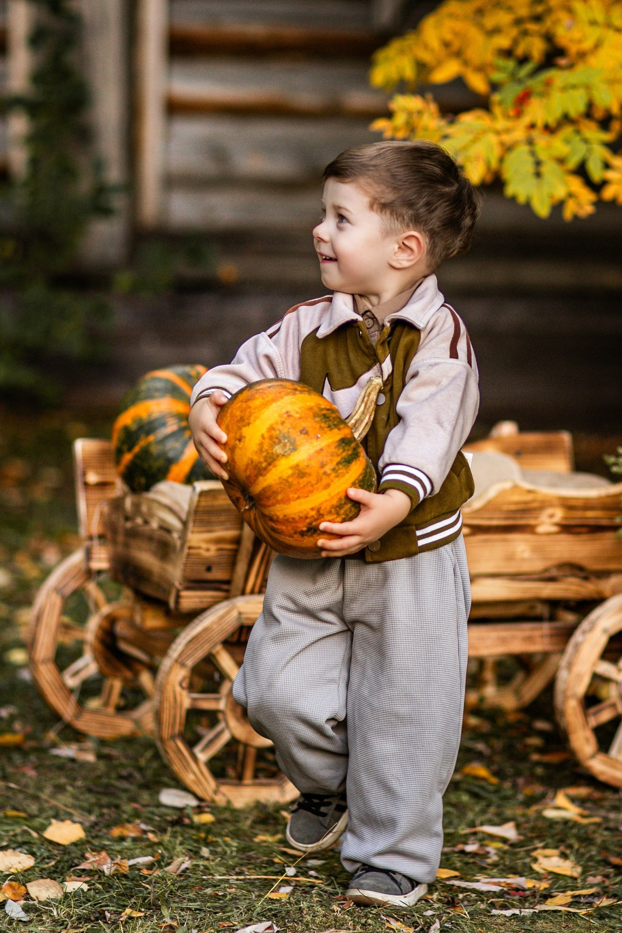 Осенние. Фотограф Елена Вишневская (Ушакова) Нефтеюганск, Сургут, Тюмень