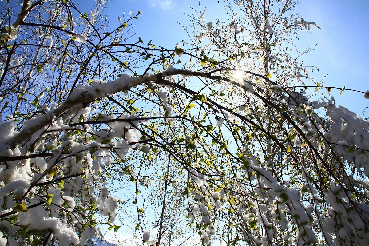 Алтай весной. Фотограф Наташа Лисица