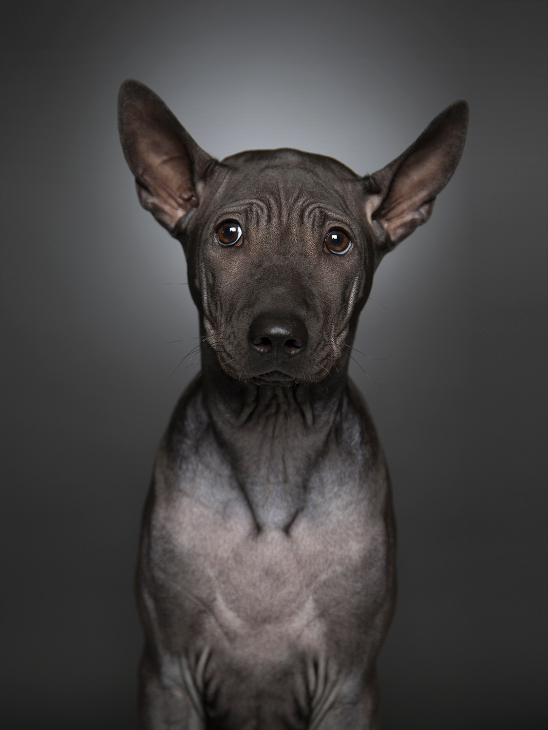 COMMERCIAL. Alexander Zorin