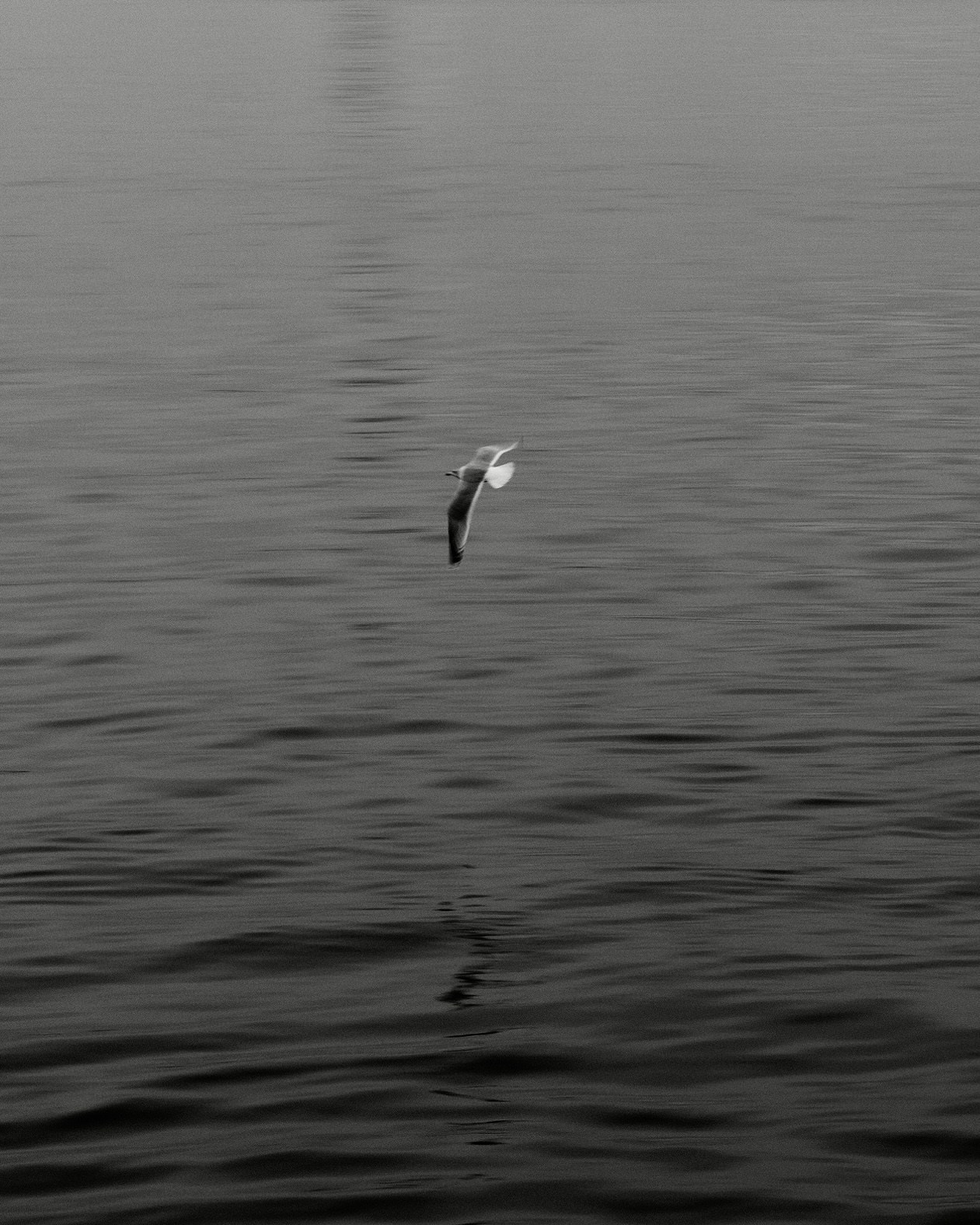 Санкт-Петербург. BELABONKA