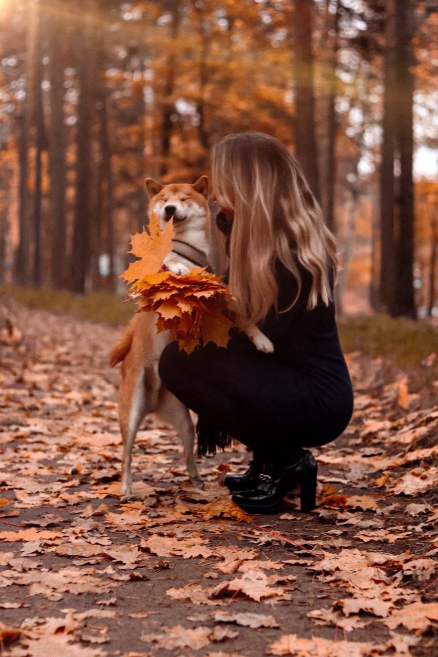 Autumn 2019. Меня зовут Лиана.я видеограф и фотограф 📍 Работаю в Москве и МО