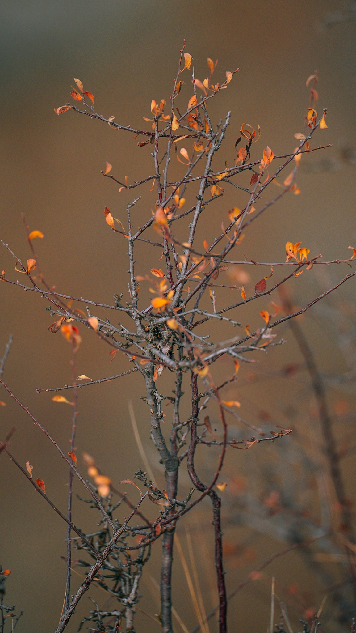 Дагестан 2023. Человек с фотокамерой