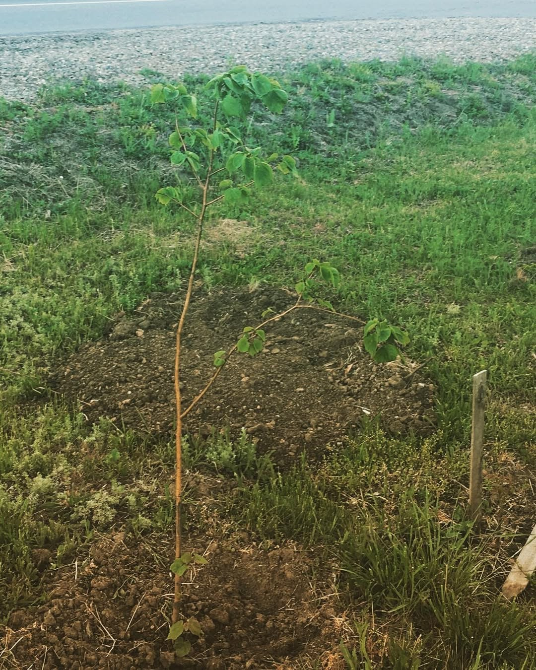 🎖️ 75 ЛЕТ ВЕЛИКОЙ ПОБЕДЫ: ПАМЯТЬ, КОТОРАЯ ОБЪЕДИНЯЕТ! 🎖️