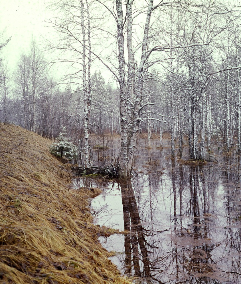 Весна. ВАДИМ ГИППЕНРЕЙТЕР — ВЕЛИКИЙ ФОТОГРАФ ЗЕМЛИ РУССКОЙ