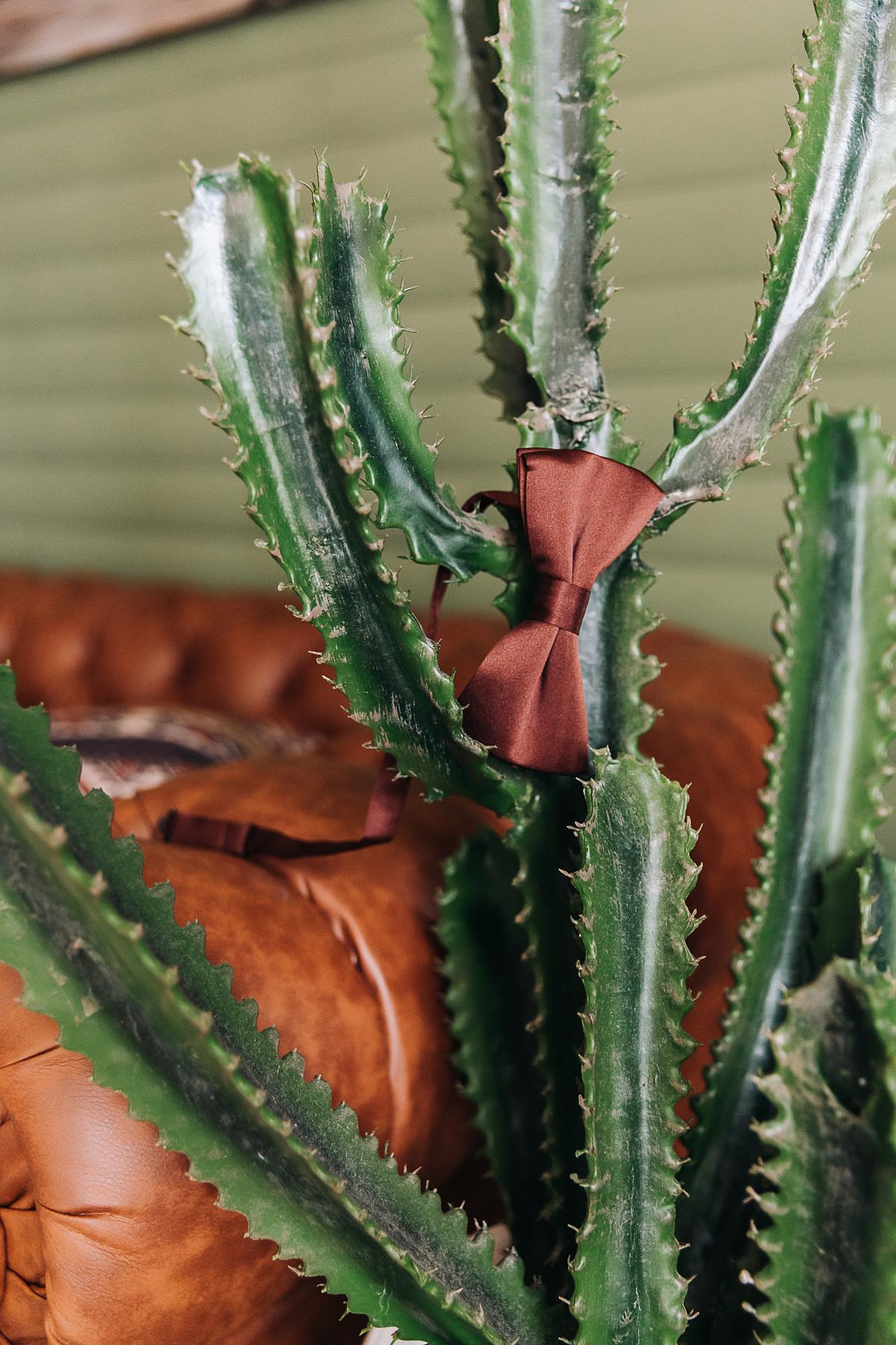 Миша и Маша. Свадебный фотограф | Москва | Демидова Мария