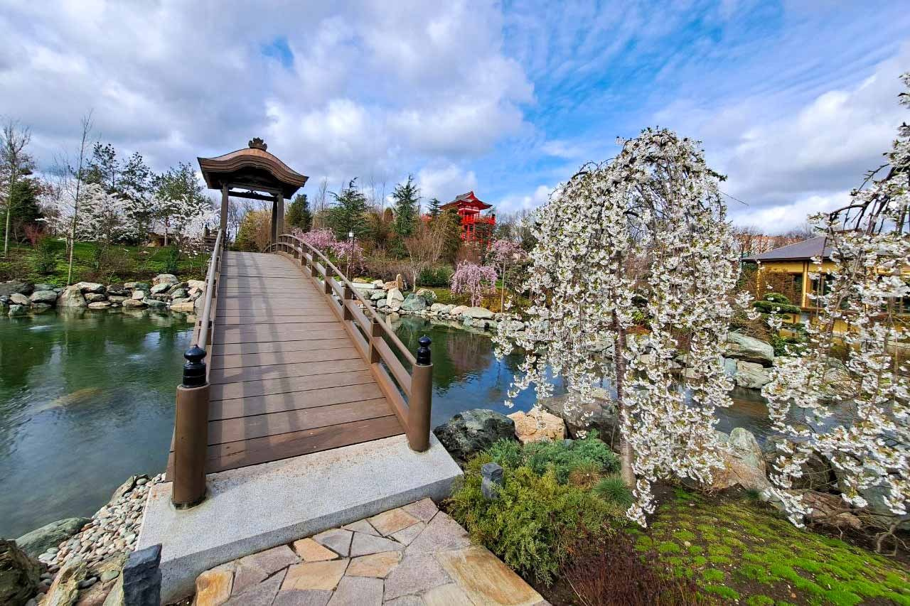 КРАСНОДАР. Свадебный и семейный фотограф/видеограф в Краснодаре Наталья Осинская