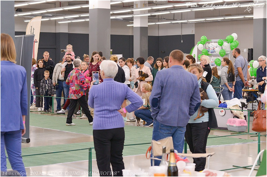 Репортаж. Фотограф анималист | семейный Юлия Вакуленко, г. Краснодар