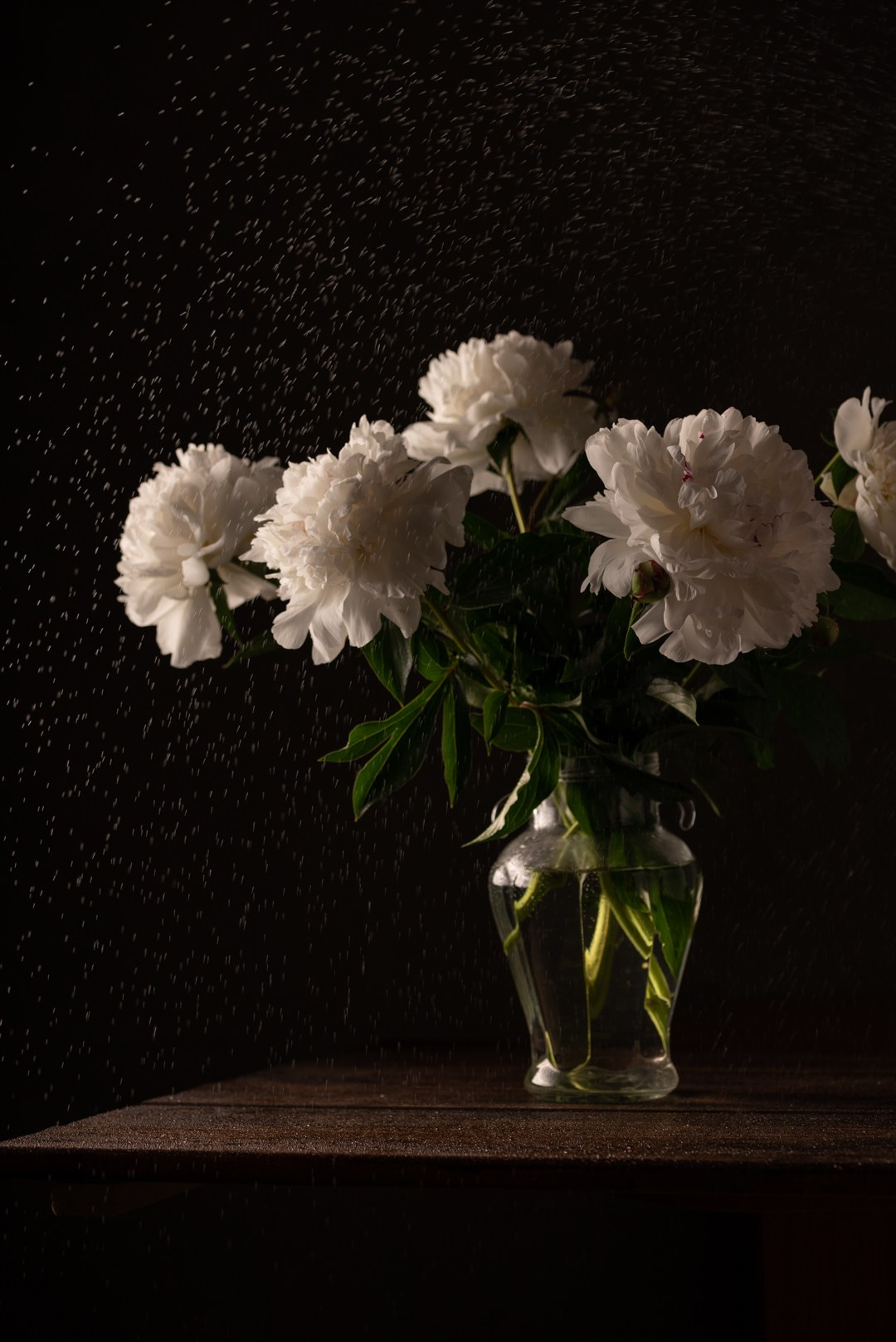 Творческие съёмки