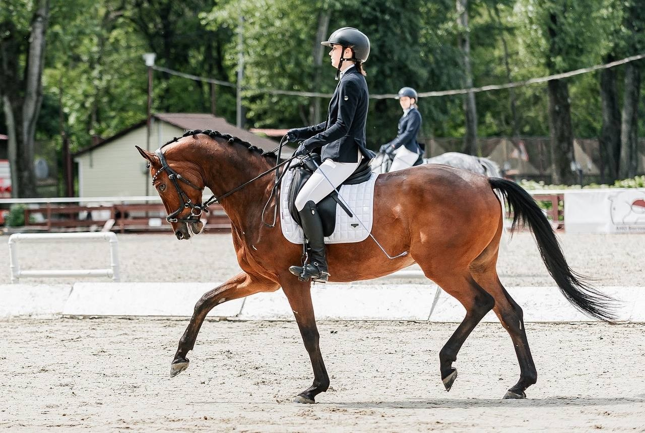 ЛЕТНИЙ КУБОК по ВЫЕЗДКЕ КСЦ «ИЗМАЙЛОВО». Конный фотограф Куракина Дарья • Фотосессии с лошадьми