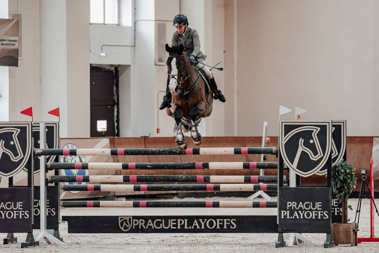 ВСЕРОССИЙСКИЕ СОРЕВНОВАНИЯ ПО КОНКУРУ НА ПРИЗЫ КСК ВИВАТ, РОССИЯ!. Куракина Дарья • Конный фотограф