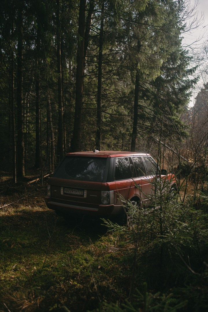 Фотосъемка джипа Range Rover в лесу. Жуков Илья  свадебный фотограф в Москве