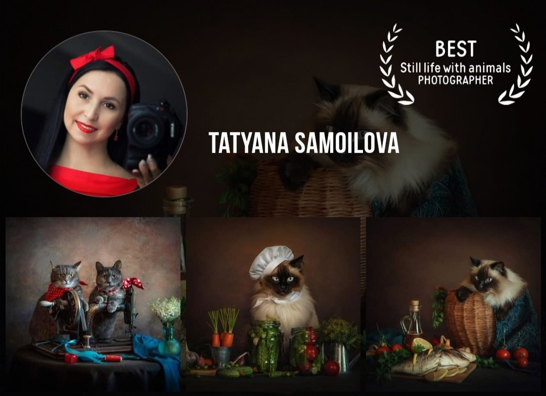 Награды. Главная