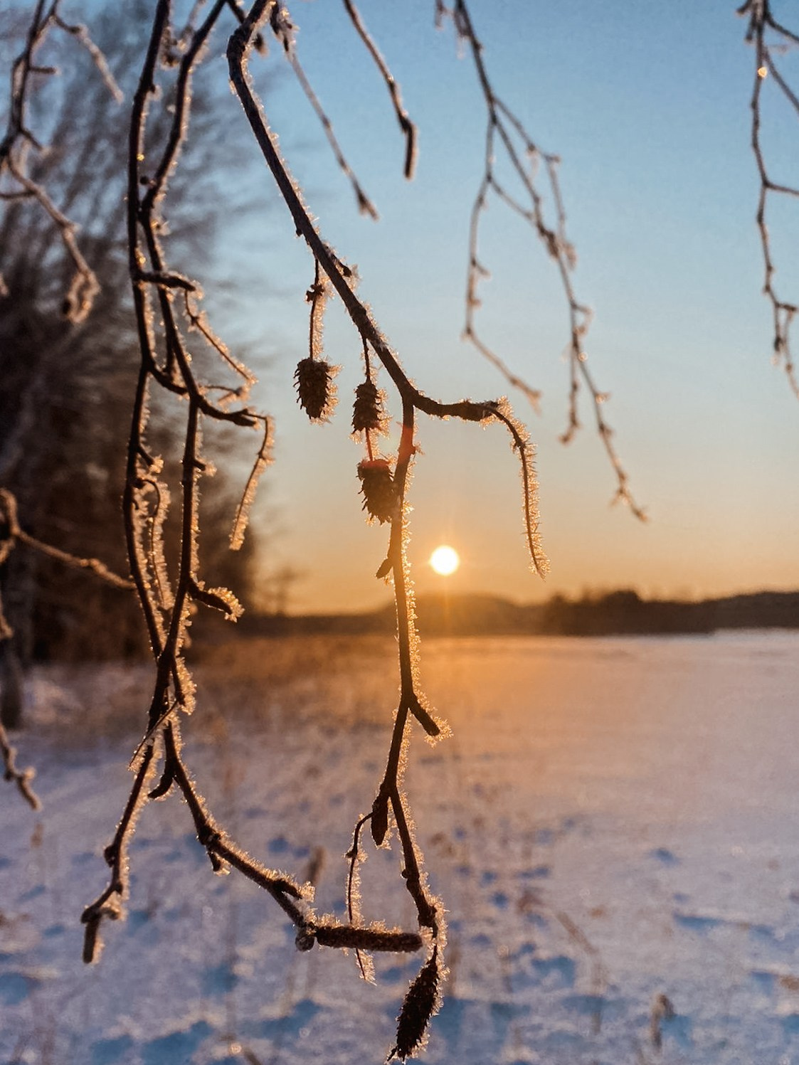 Пейзаж. Фотограф Олеся Шипихина г. Москва