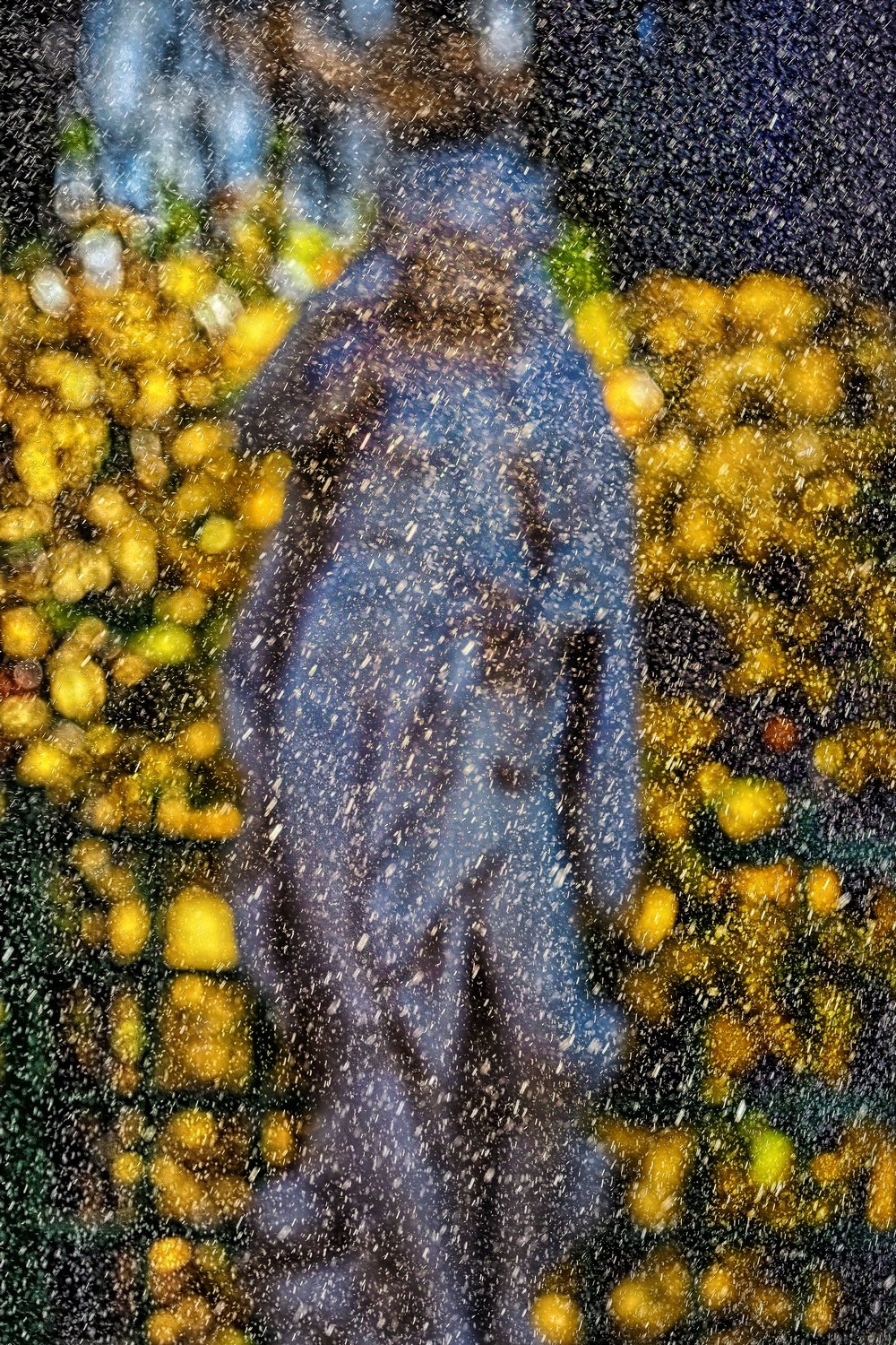 Город. Фотограф Александр Петросян