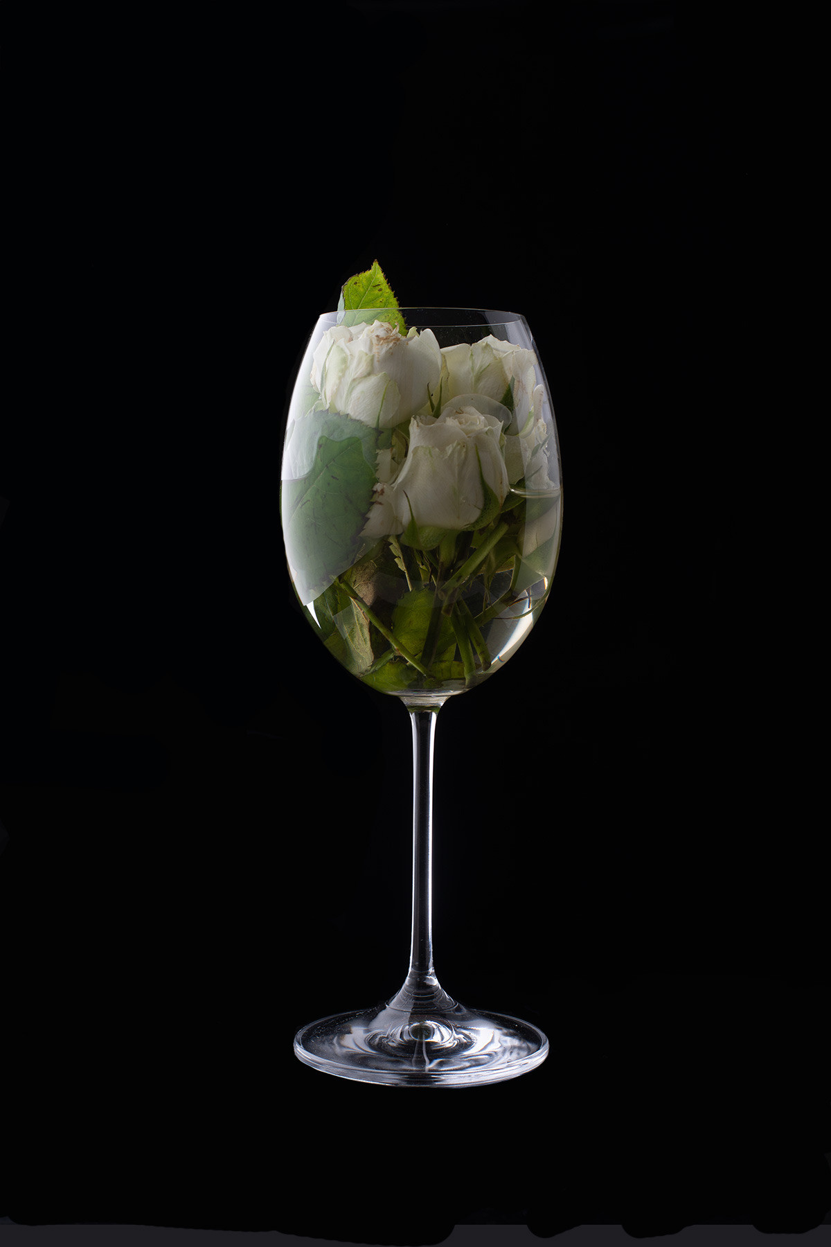 Предметы. Фотограф в Саратове