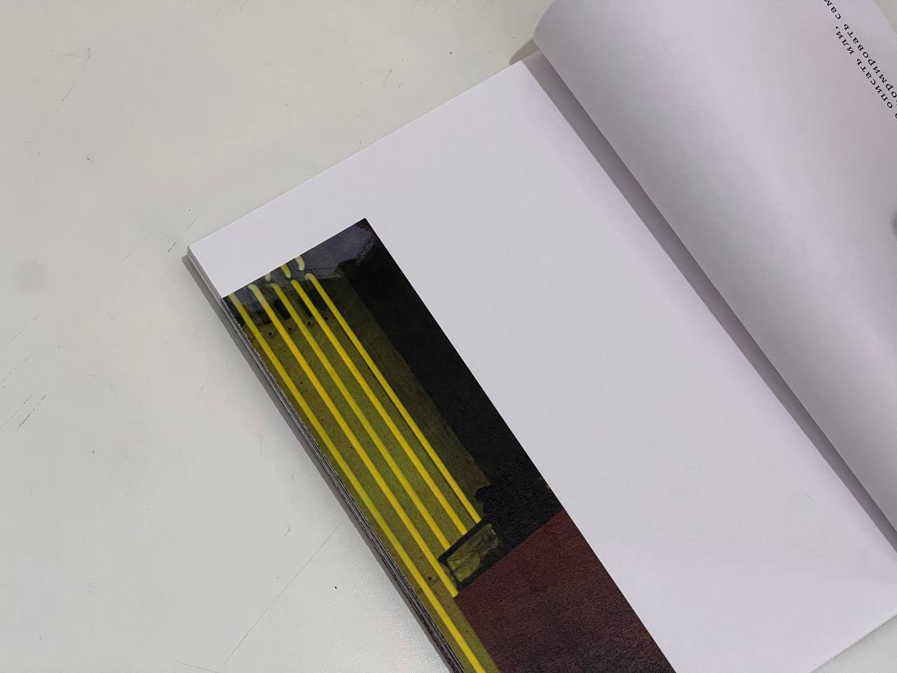 Habitat of color. Mikhail Kurganov