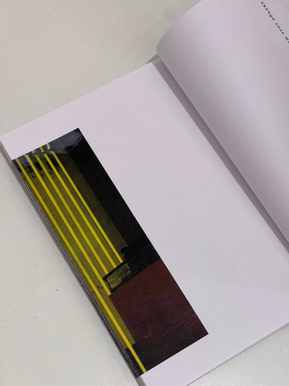 Habitat of color. Mikhail Kurganov