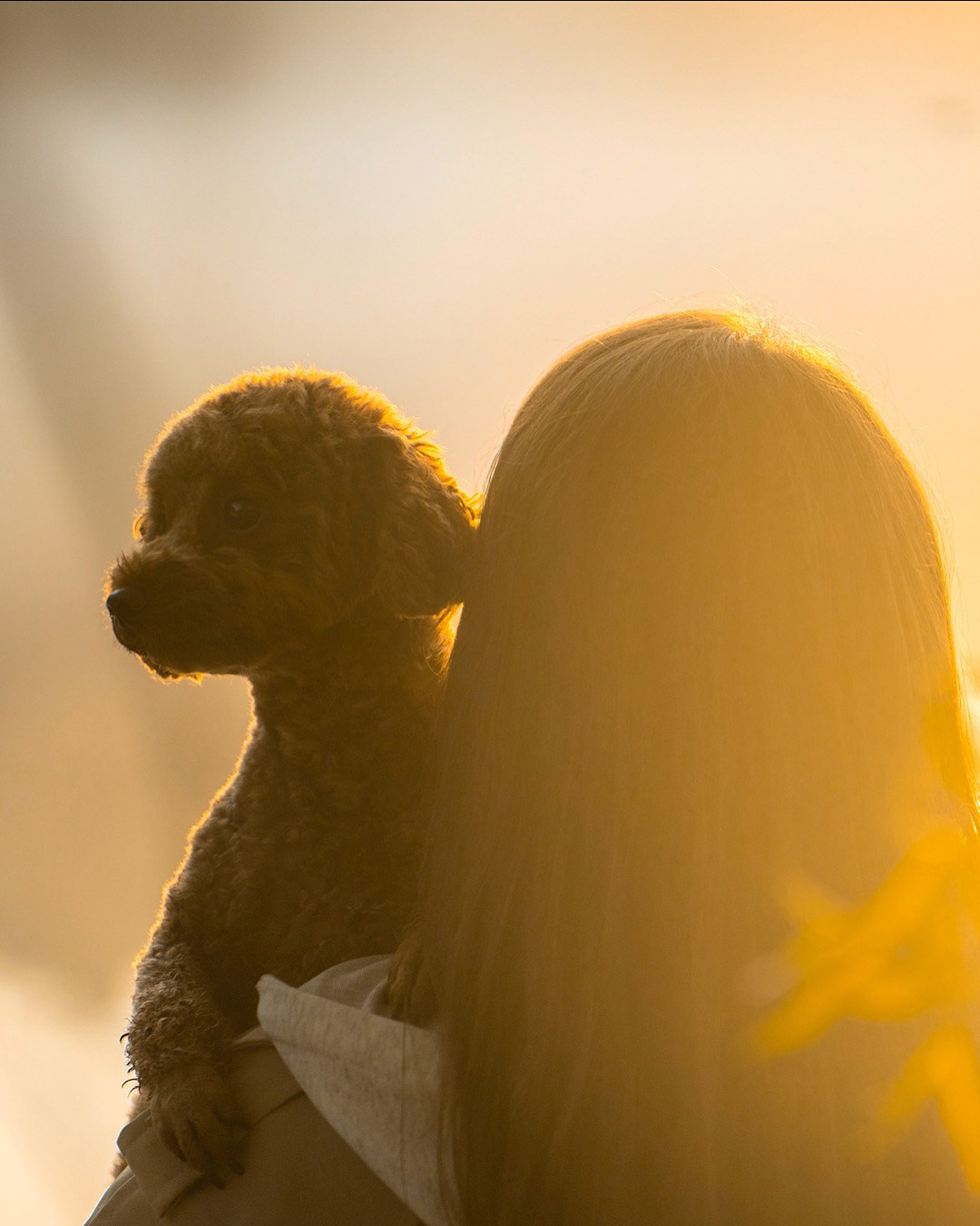 Лия и Чарли. Фотограф анималист в Москве и Санкт-Петербурге Свиридова Анна