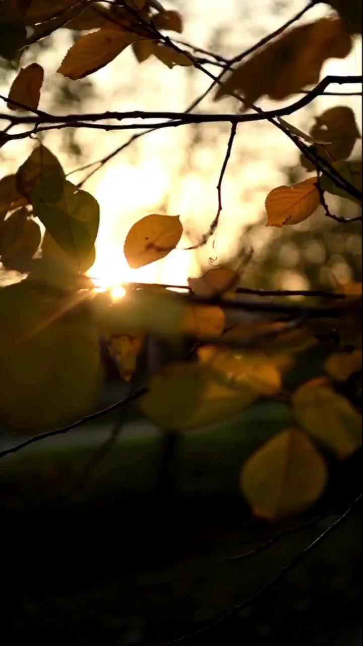 НОВОСТИ. Фотохудожник Нина Жихарева