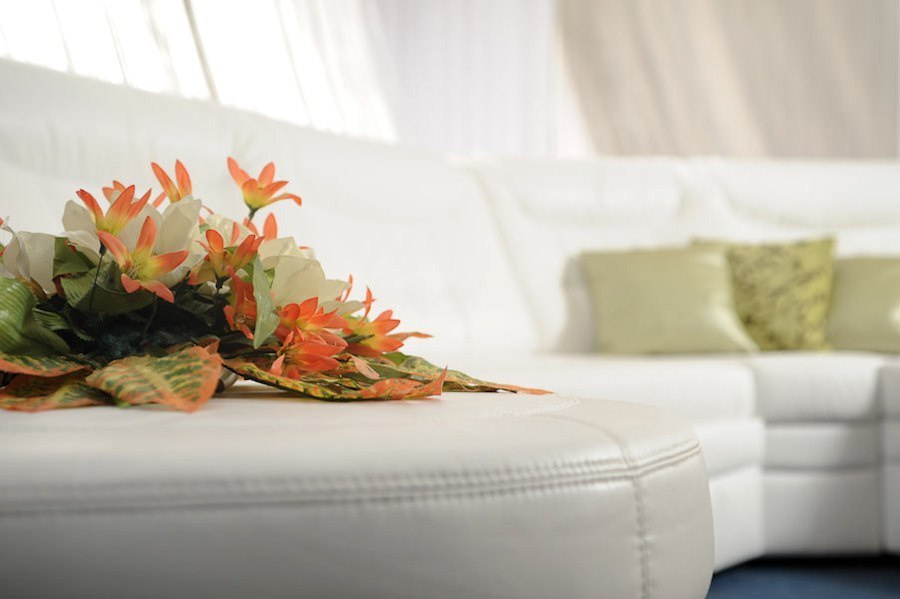 Архив 2006 - 2018. Max Matvich and Victoria Basova are professionals in their field