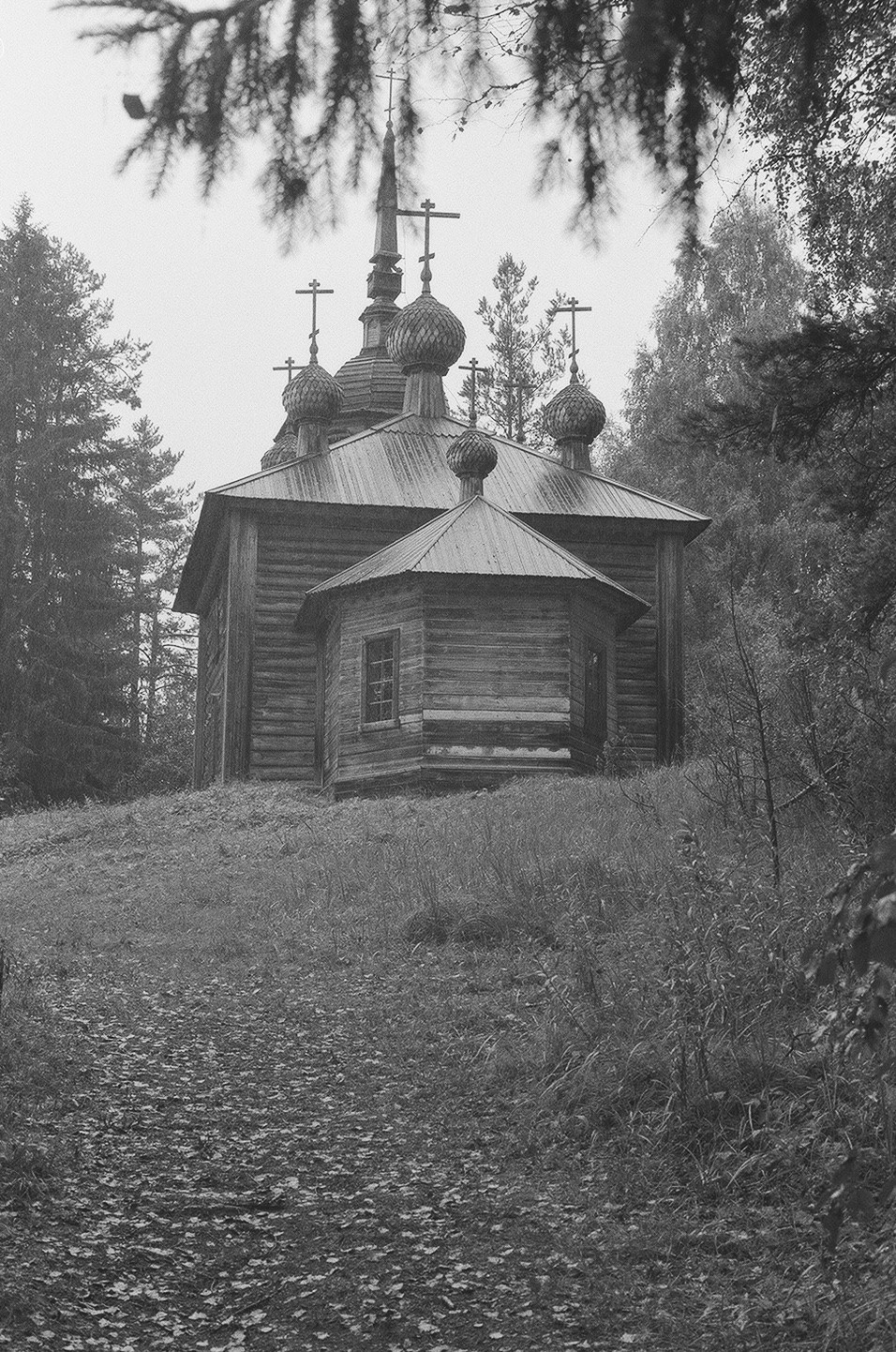 Няндома. Портретный фотограф в Москве Тимур Мансуров