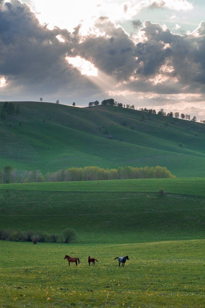 Фотокниги. Холсты. Печать